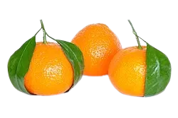 لالنكي (حسب الوزن)