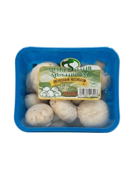 علبة فطر