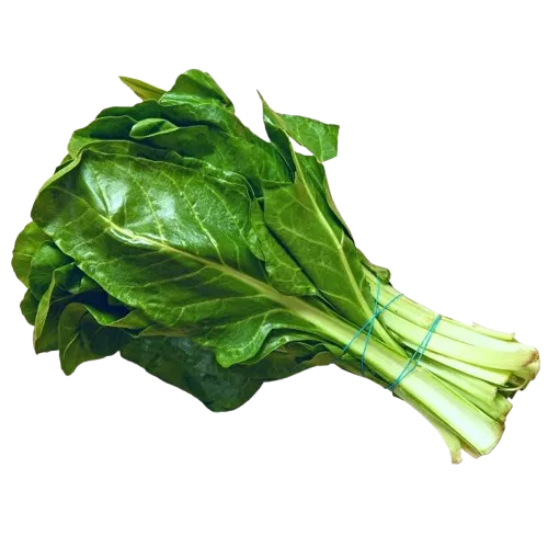 سلق *5